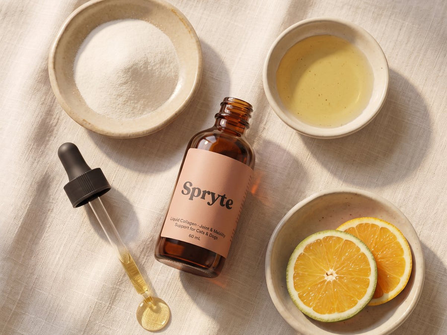 sp-card-bottle-ingredients-flatlay
