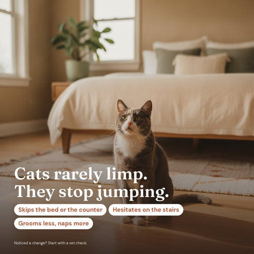 Spryte Liquid Collagen for cats & dogs