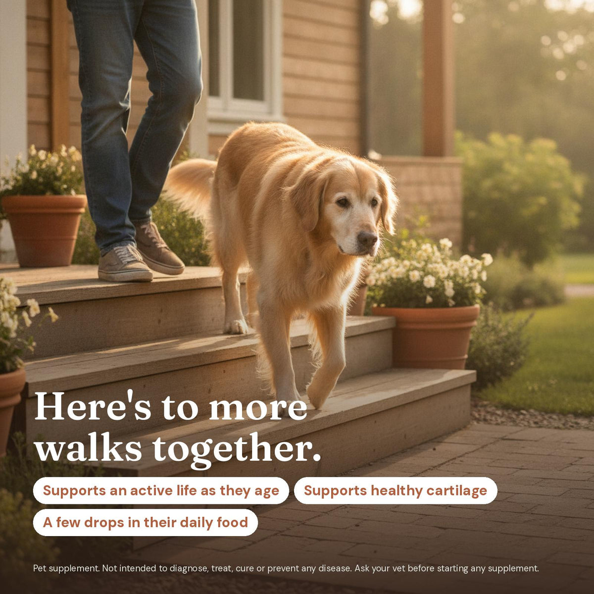 Spryte Liquid Collagen for cats & dogs